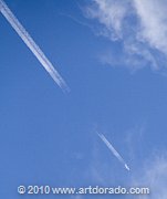 chemtrail-curacao_img5995-crop_l.jpg