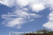chemtrail-curacao_img6002_l.jpg