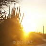 curacao just before sunset